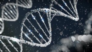 Genetic Engineering: Is it the future